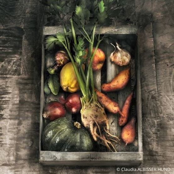 Atelier photographie culinaire 2025