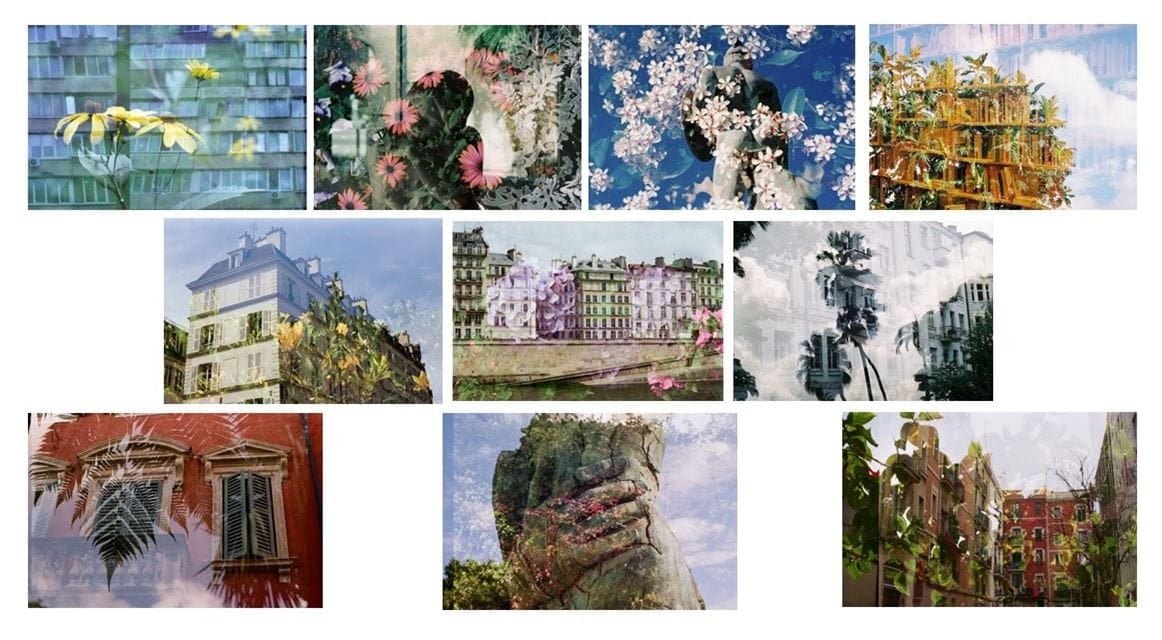 Photos d'Alexandra Oza