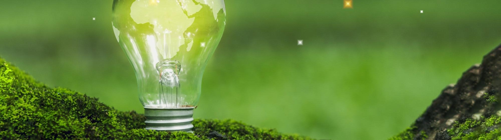 Ampoule sur fond vert et verdure