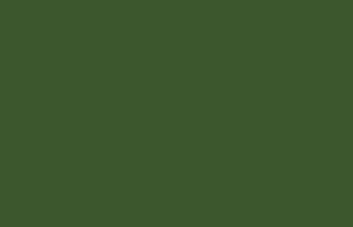 image fond vert