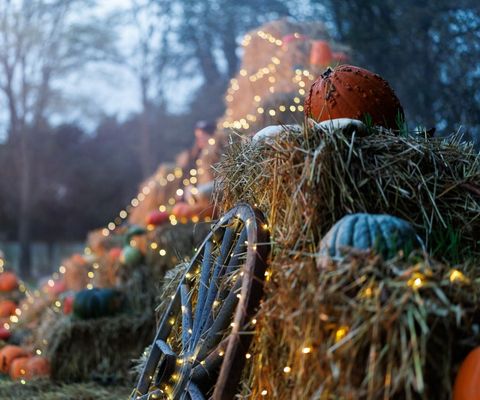 Décoration d'Halloween avec des citrouilles disposées sur des bottes de paille et illuminées par des guirlandes lumineuses.