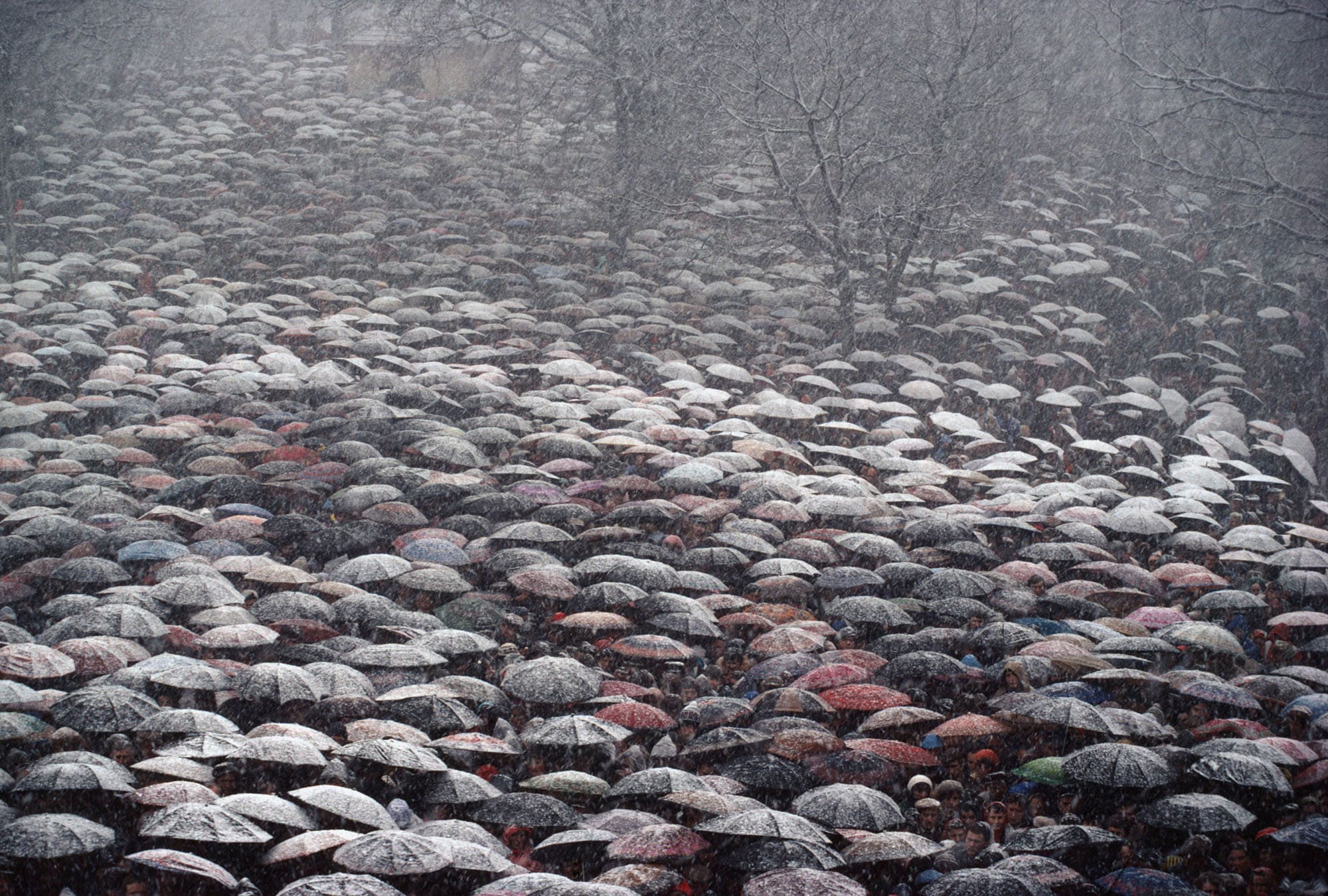 Grande foule de personnes sous des parapluies pendant une forte chute de neige.