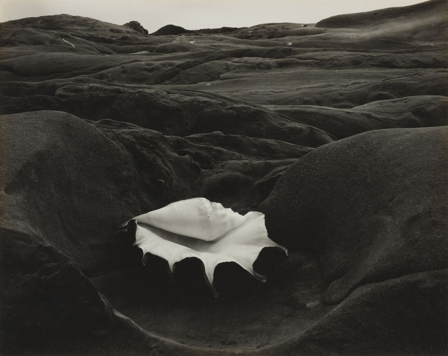 Photographie artistique en noir et blanc représentant un corps féminin allongé sur une méridienne dans une ambiance onirique et floue.