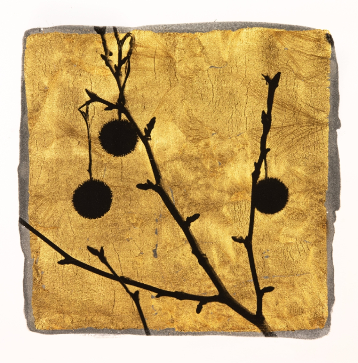 silhouette de branches avec trois fruits en forme de boule sur fond d'or au format carré 