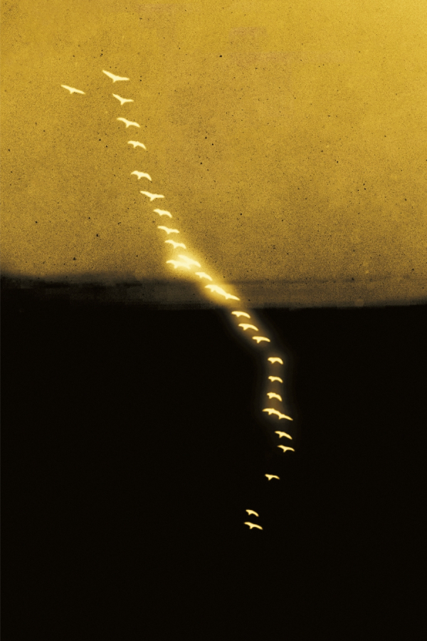 Image bicolore jaune et noire avec une ligne verticale d'oiseaux lumineux au centre de l'image