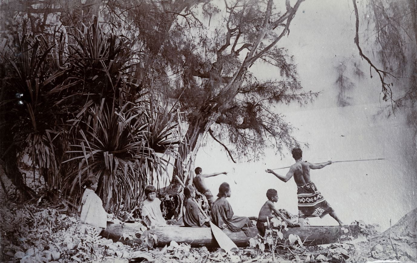 Pêche au harpon
