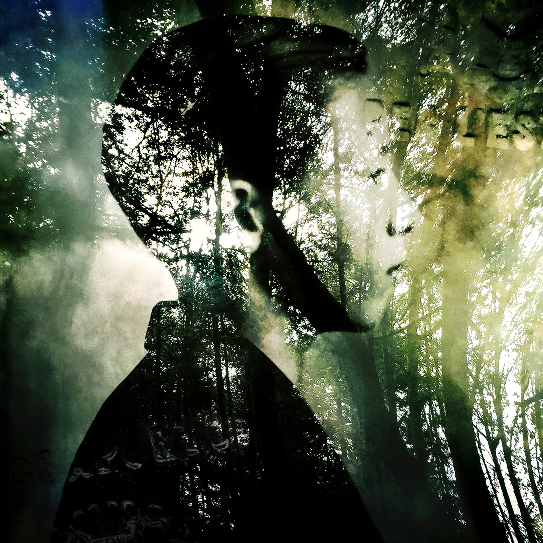 Portrait d'homme avec une silhouette superposée à un paysage naturel, créant un effet de double exposition.