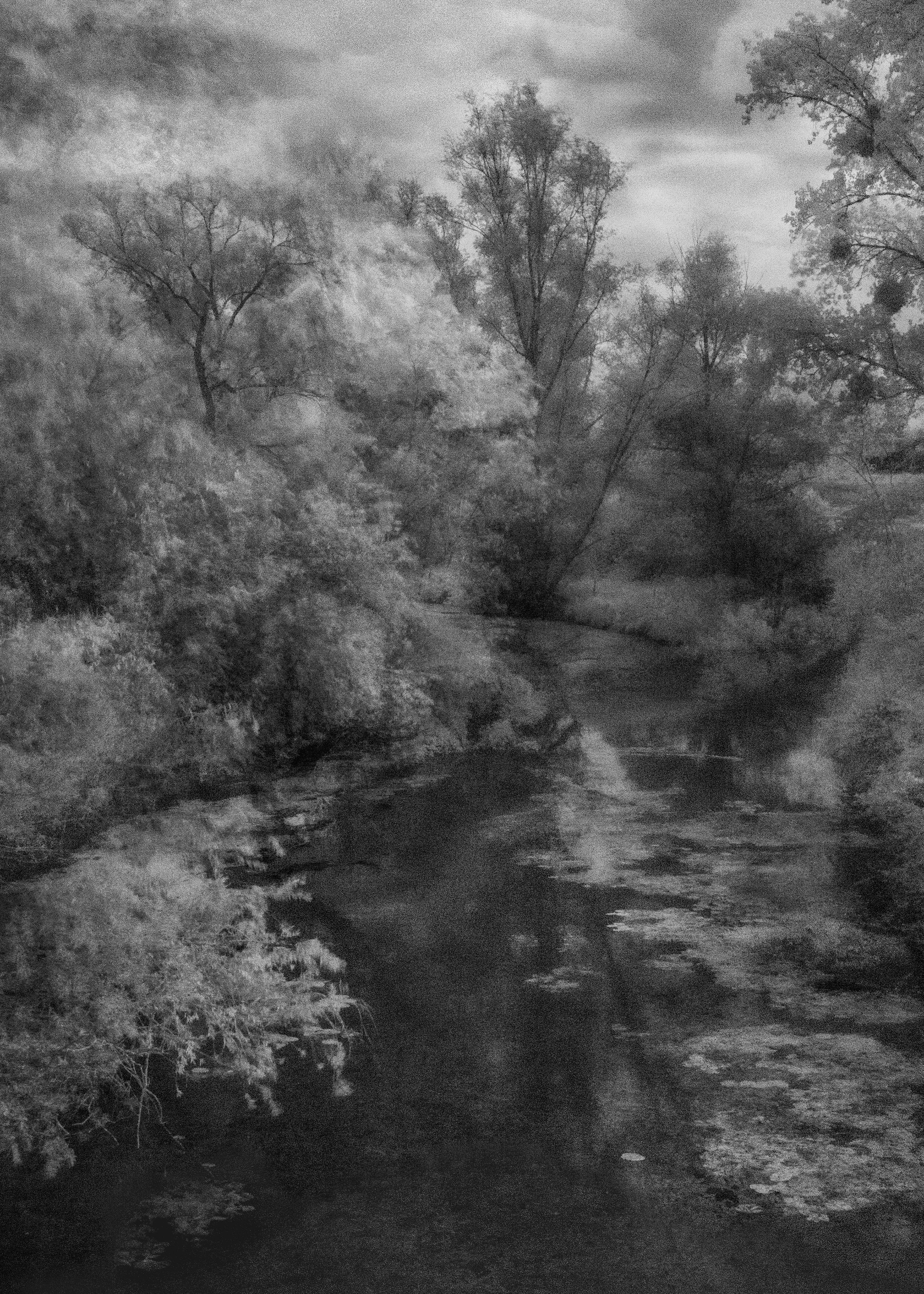 Photo en noir et blanc d'une rivière serpentant à travers une forêt avec des arbres flous et un reflet dans l'eau.