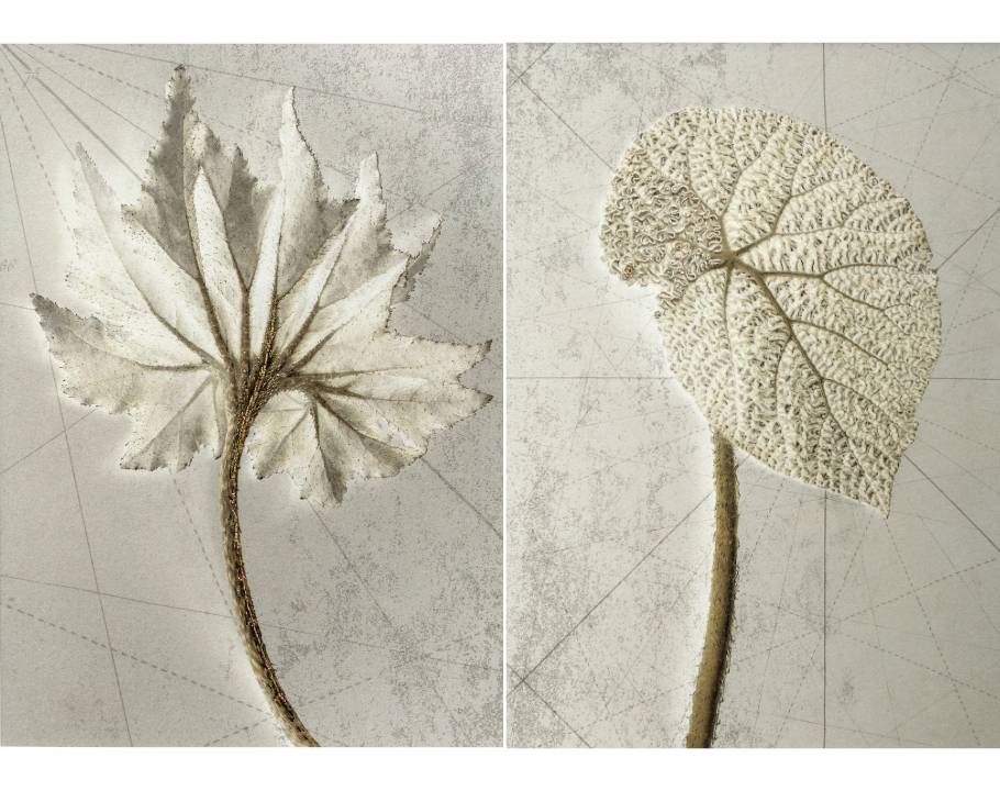 Photographie de deux feuilles de plantes blanches, chacune avec des détails délicats sur un fond beige.