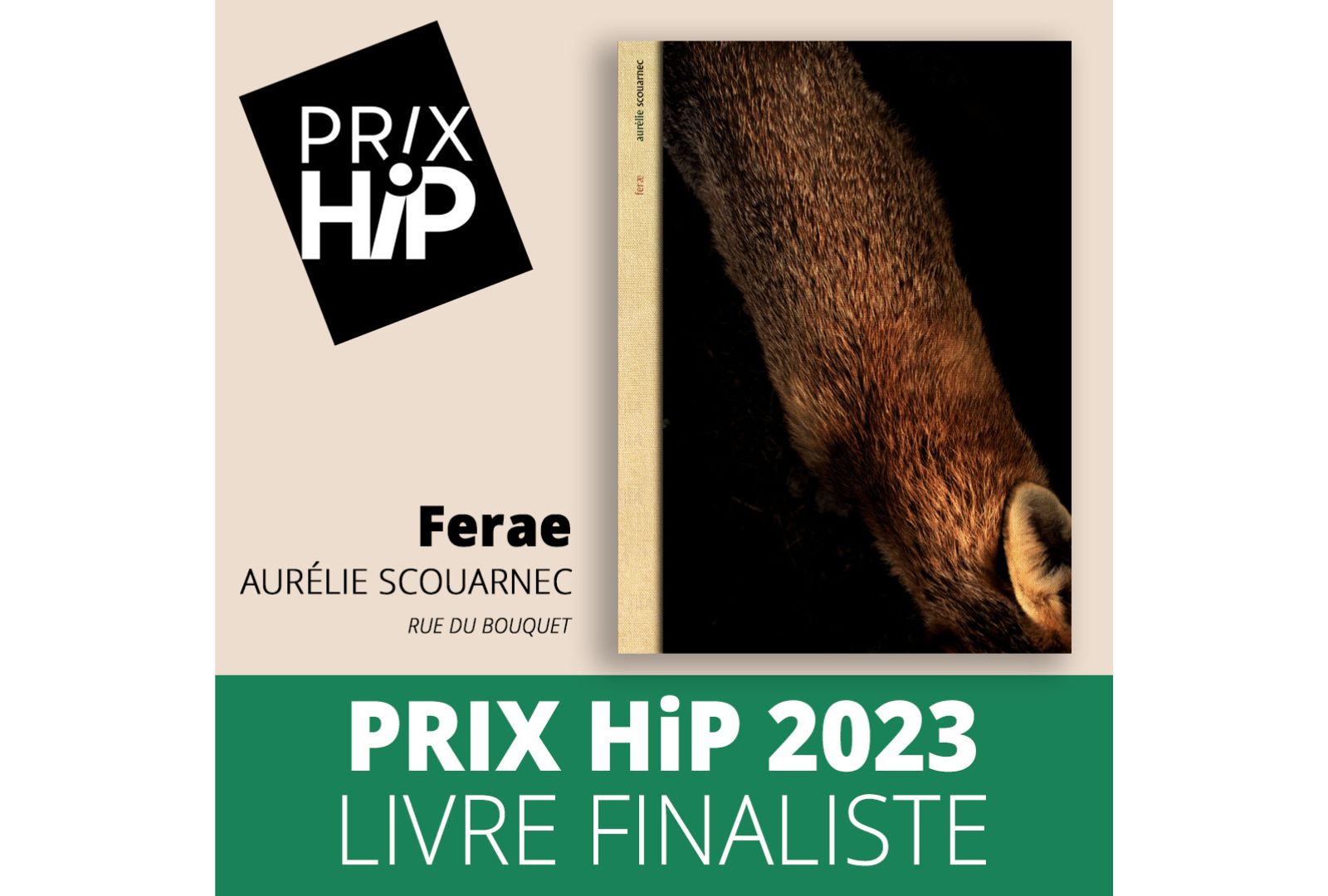 Les prix HiP 2023 Livre finaliste